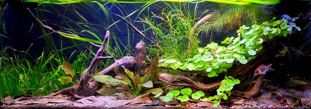 20210922_224033.jpg