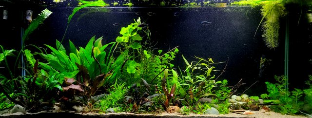 20210922_220547.jpg