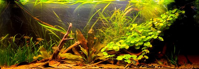 20210930_212005.jpg
