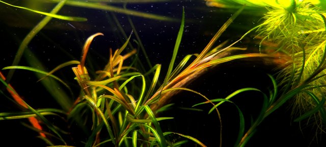 20210930_212531.jpg