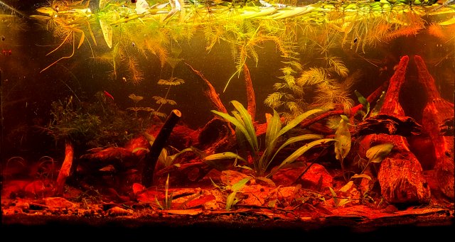 20210930_210905.jpg