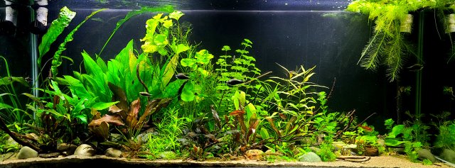 20210930_191341.jpg