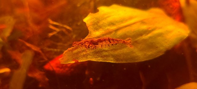 20211002_193451.jpg