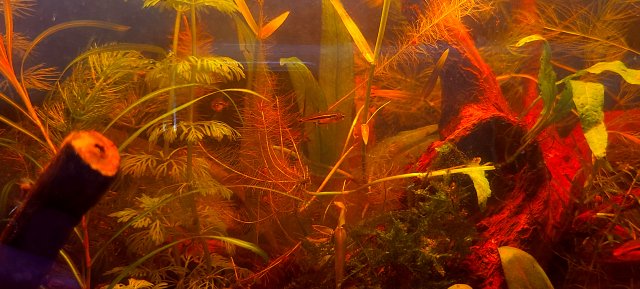 20211002_173508.jpg