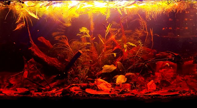 20211002_162945.jpg