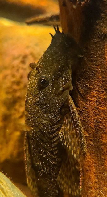 20211005_201256.jpg
