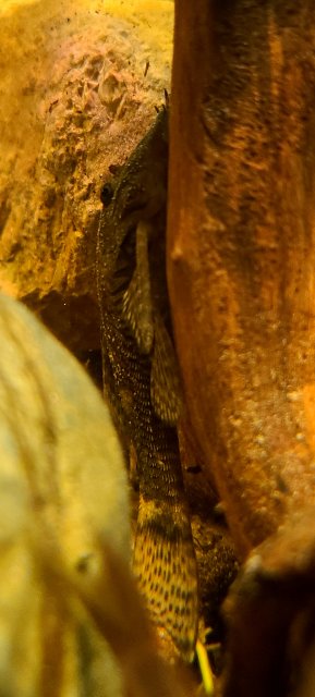 20211005_201308.jpg