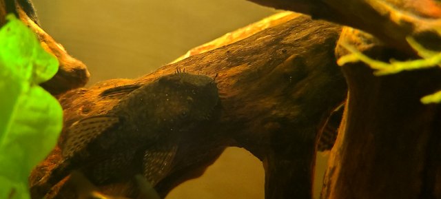20211006_190404.jpg