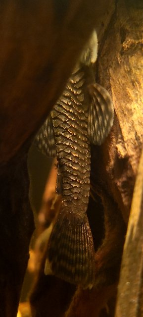 20211006_174114.jpg