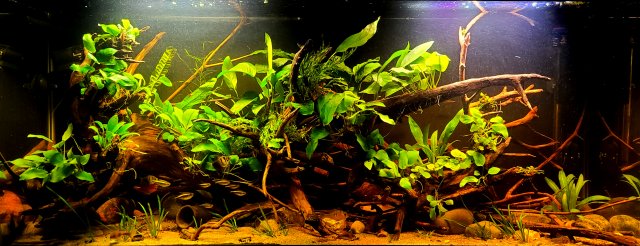 20211009_210343.jpg