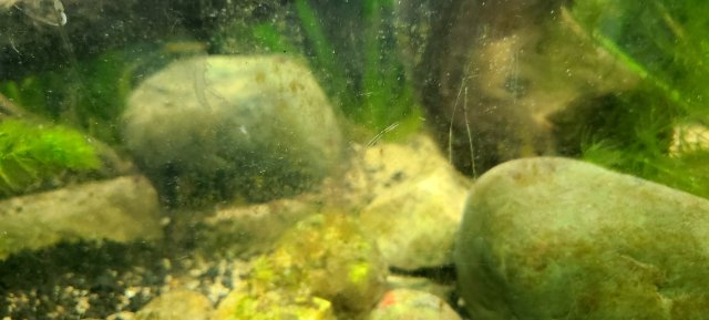 20211012_225745.jpg