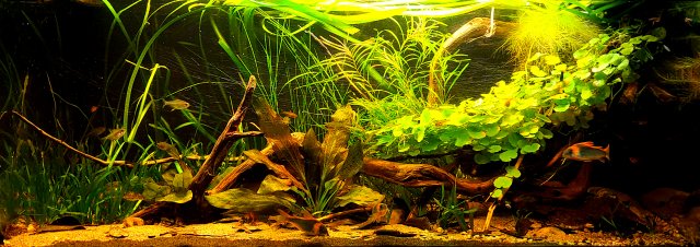 20211013_001003.jpg