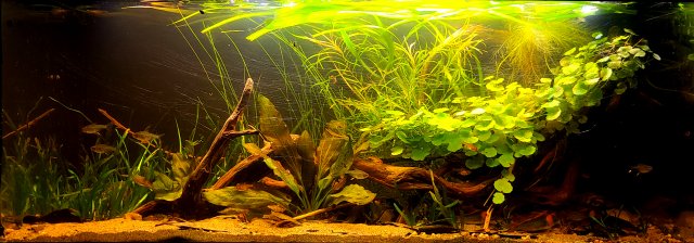 20211013_224206.jpg
