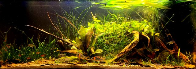 20211020_231430.jpg