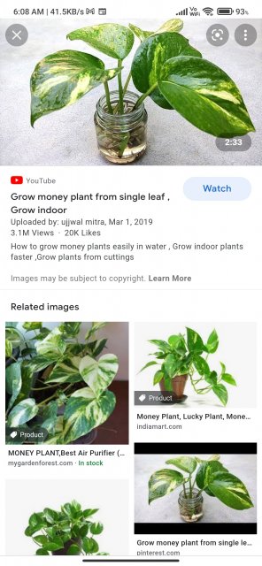 Screenshot_2021-10-25-06-08-46-089_com.android.chrome.jpg