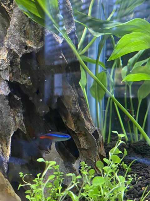 IMG_9080.jpg IMG_9080.jpg