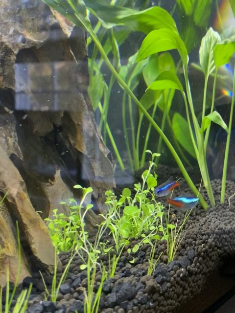 IMG_9078.jpg IMG_9078.jpg