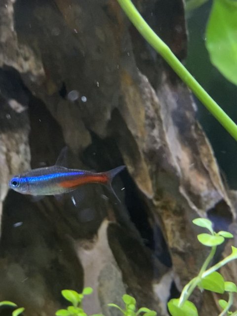 IMG_9081.jpg IMG_9081.jpg