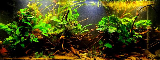 20211118_202658.jpg