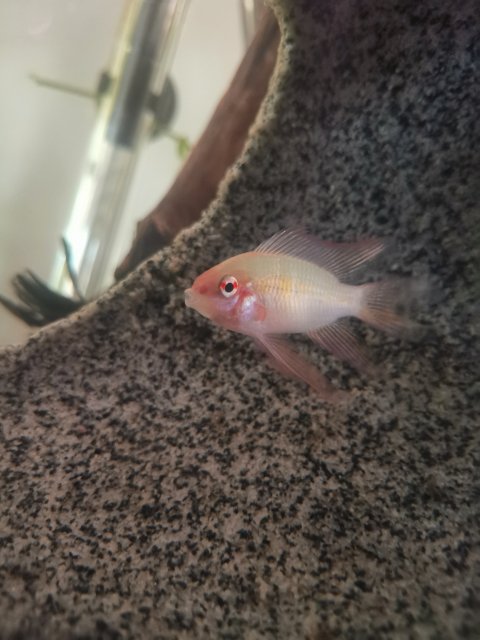 IMG_20211120_182915.jpg IMG_20211120_182915.jpg