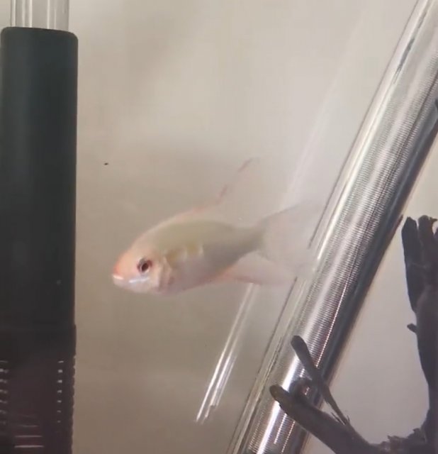 Screenshot_20211120_190624.jpg Screenshot_20211120_190624.jpg