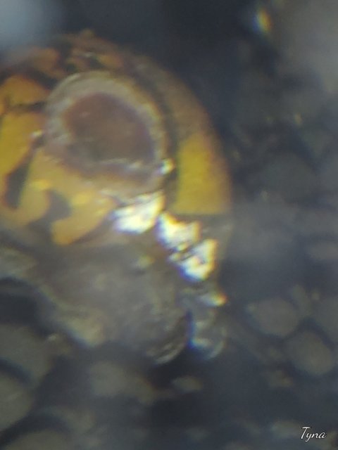 20211123_110304.jpg 20211123_110304.jpg