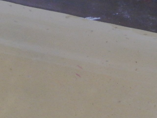 IMG_20211127_105338.jpg