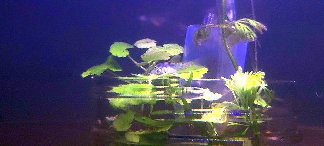 20211206_011551.jpg