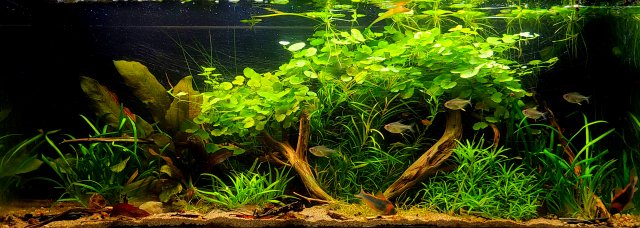 20211218_201210.jpg