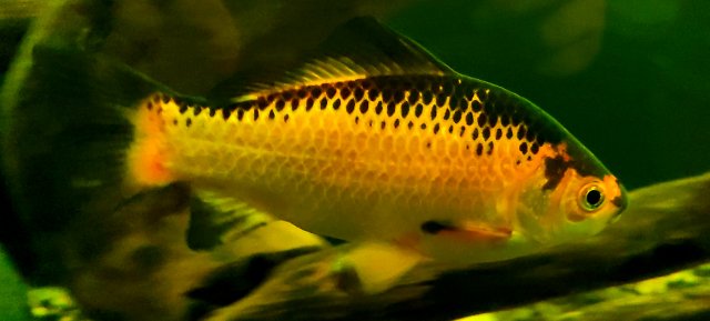 20220109_212203.jpg