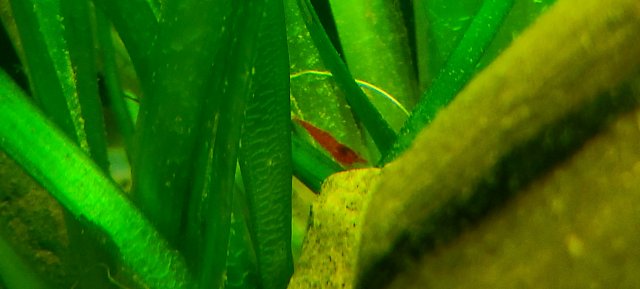 20220110_192919.jpg