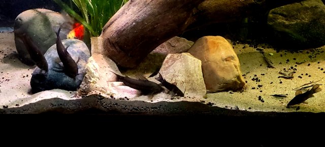 20220112_210002.jpg