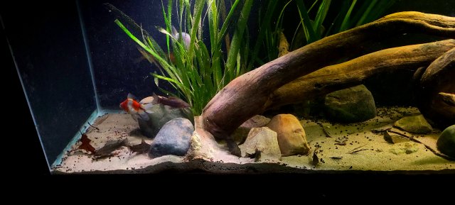20220112_210012.jpg