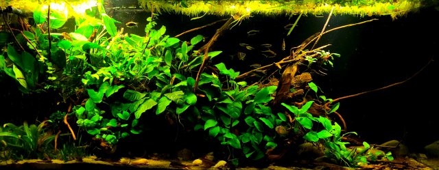 20220113_185835.jpg