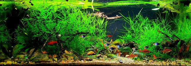 20220113_185645.jpg