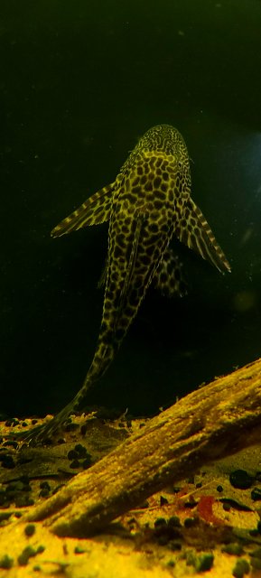 20220116_132310.jpg