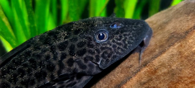 20220117_031033.jpg