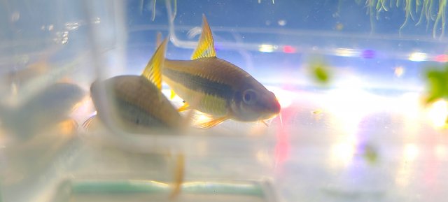 20220124_200413.jpg