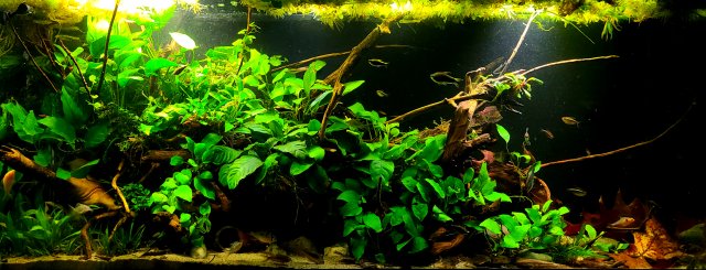 20220124_233035.jpg