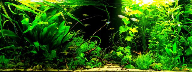 20220120_153327.jpg