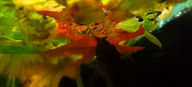 20220125_150000.jpg