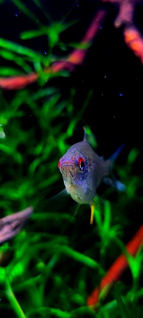 20220213_184215(0).jpg