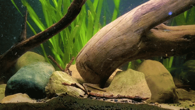 Untitled - Sequence 01 18_4.gif