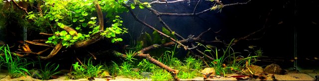 20220226_2cb05143.jpg