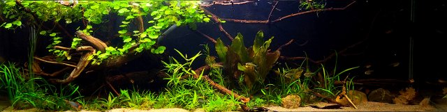 20220312_201136.jpg