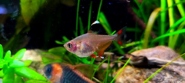20220325_200444(0).jpg