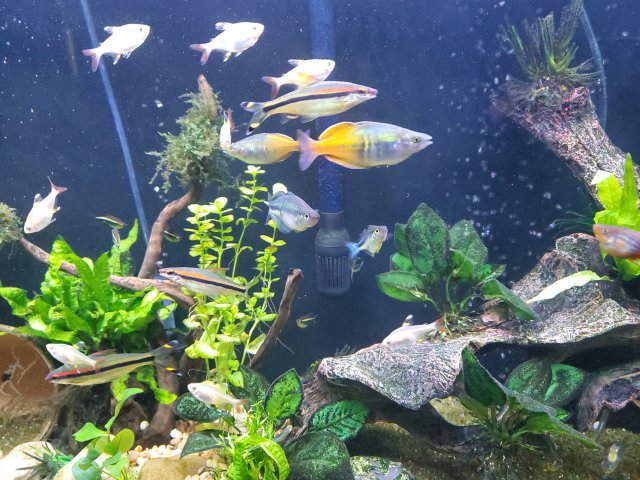 20220418_210813.jpg