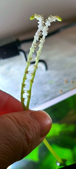 20220410_223218.jpg