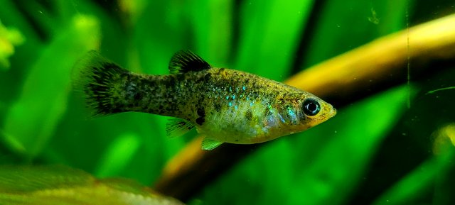 20220426_175225(0).jpg