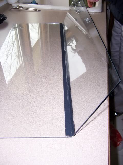 100_0861.jpg